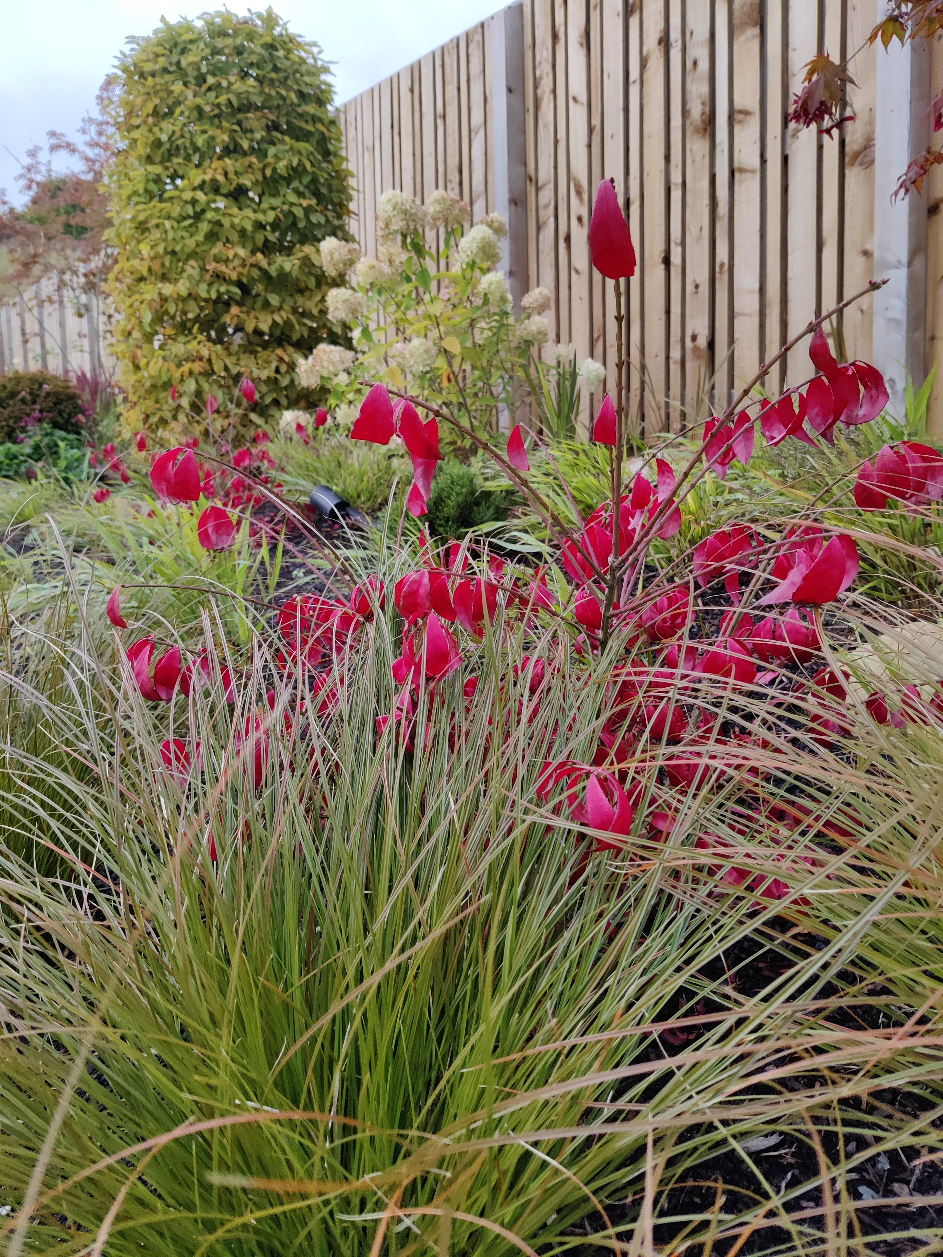 Planting Design Edinburgh Garden